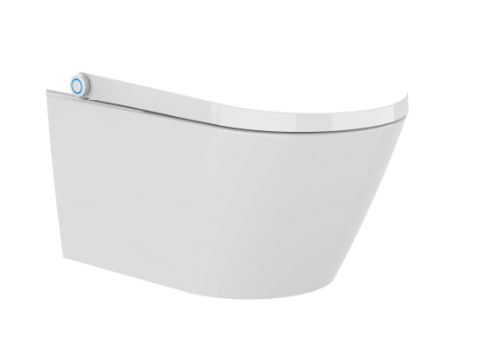 E410 smart toilet