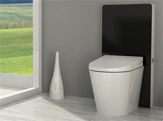 Scopri il futuro del design del bagno con la nostra cassetta di risciacquo in vetro con sensore a filo
