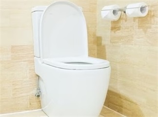 Devo utilizzare un filtro per l'acqua con il mio bidet elettronico?