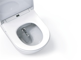Qual è la funzione dell'ugello per WC intelligente?
