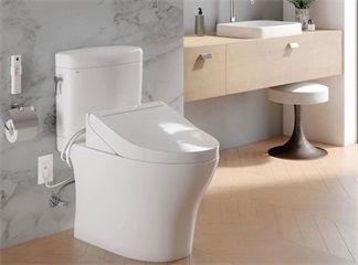 L'acqua di un bidet elettronico contaminerà il lavandino e la doccia?