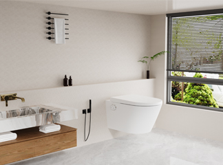 Guida all'acquisto B2B del sedile WC bidet intelligente: analisi completa dei sedili WC multifunzione adattabili