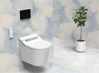 Tre caratteristiche sottovalutate delle toilette intelligenti
    