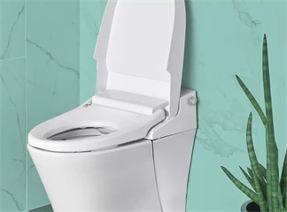 Tre caratteristiche che rendono i bidet elettronici un punto di svolta nel settore
    