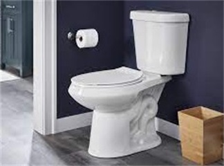 I sedili del WC possono causare infezioni: scopri cosa puoi prendere in bagno
    