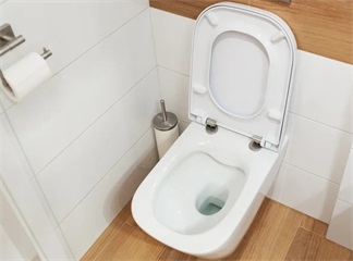 I sedili WC rimovibili sono il segreto per pulire davvero i bagni?