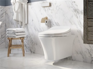 La dimensione del mercato dei bidet elettronici nel Sud-Est asiatico raggiungerà gli 852 milioni di dollari entro il 2031, con un tasso di crescita annuo composto del 4,7%